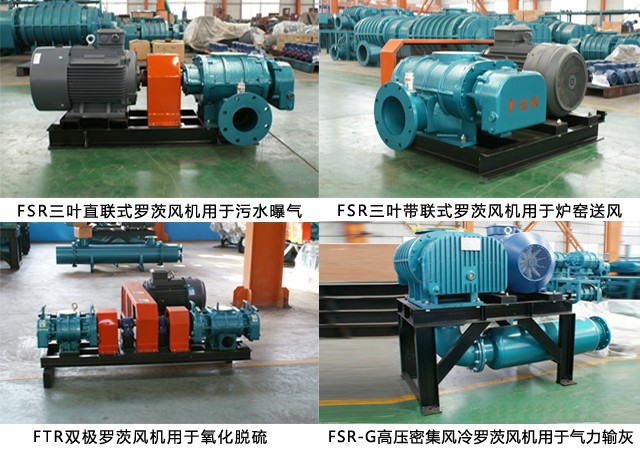 章丘豐源機(jī)械三葉羅茨風(fēng)機(jī)結(jié)構(gòu)圖多用途展示 章丘豐源機(jī)械三葉羅茨風(fēng)機(jī)結(jié)構(gòu)圖多用途展示
